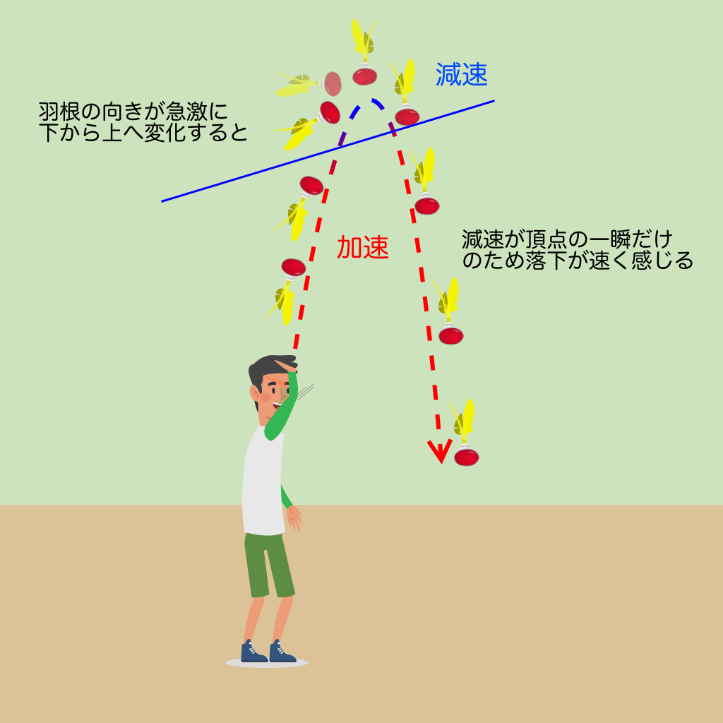 羽根の向きが急変し頂点付近だけ減速する羽球軌道